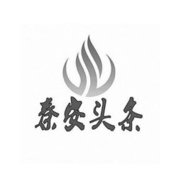 秦安頭條文化傳媒中心