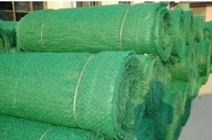 三維植被網 環保工程的綠色衛士 - 北京廠家價格與產品解析